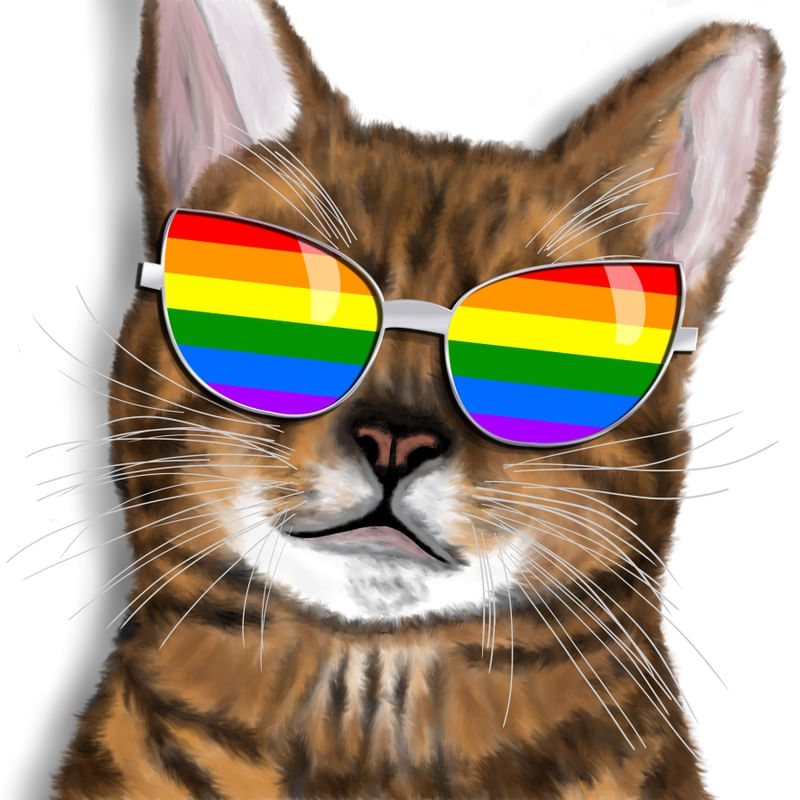 RAIBOW KITTY
