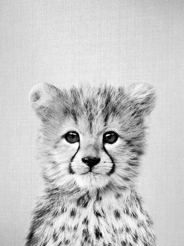 BABY CHEETAH - BLACK AND WHITE