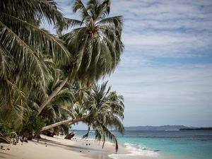 LOST PARADISE