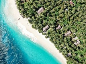 MENTAWAII BIRDS EYE 01