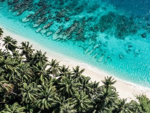 MENTAWAII BIRDS EYE 03