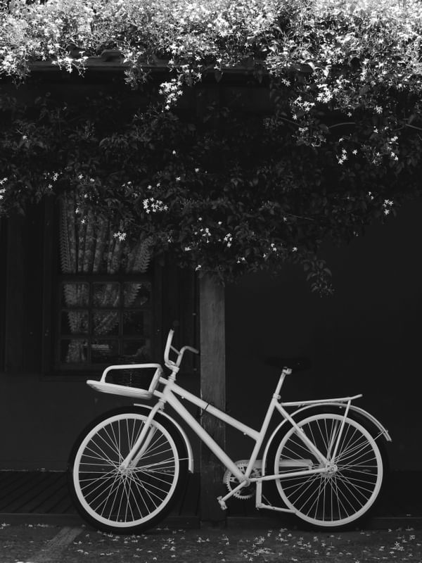 BICICLETA EM HOLAMBRA