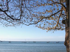 RJ - MAR PRAIA E BARCOS