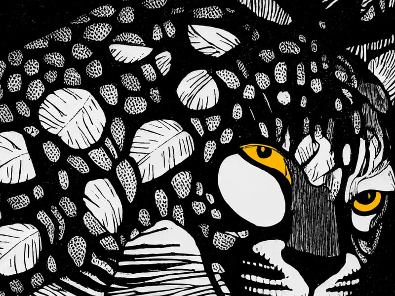 ONÇA TROPICAL 07D