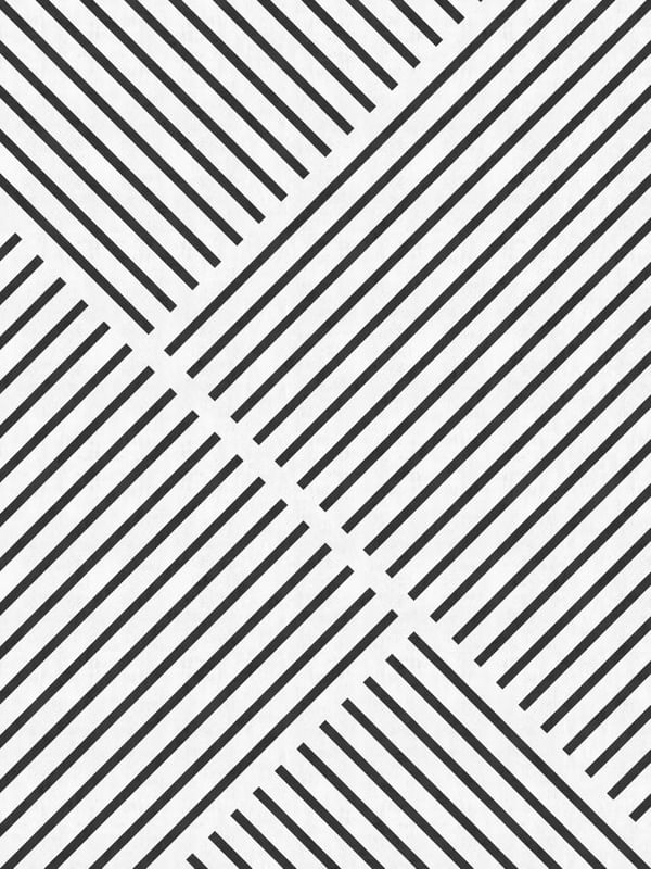 MINIMALIST LINES 49