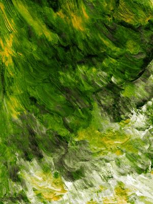 DARK TIDE 4 - LIMAO VERDE SELVA ORGANICO BOTANICO ABSTRATO PINTURA