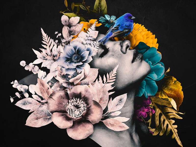 ENTRE FLORES E PASSAROS
