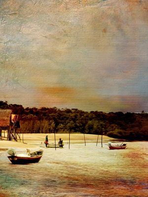 PINTURA NO DELTA DIPTICO 2