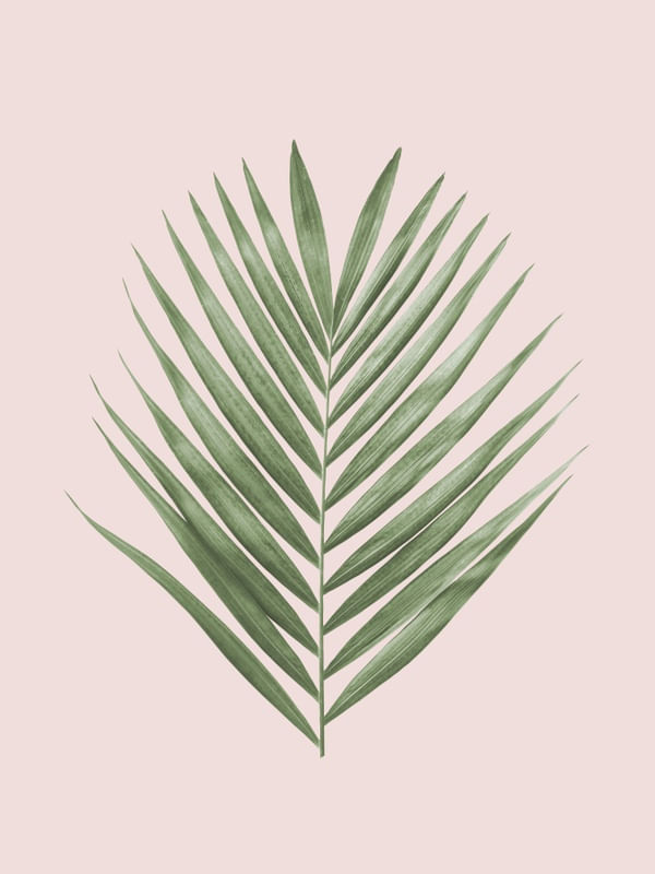 MINIMAL FLORAL 64