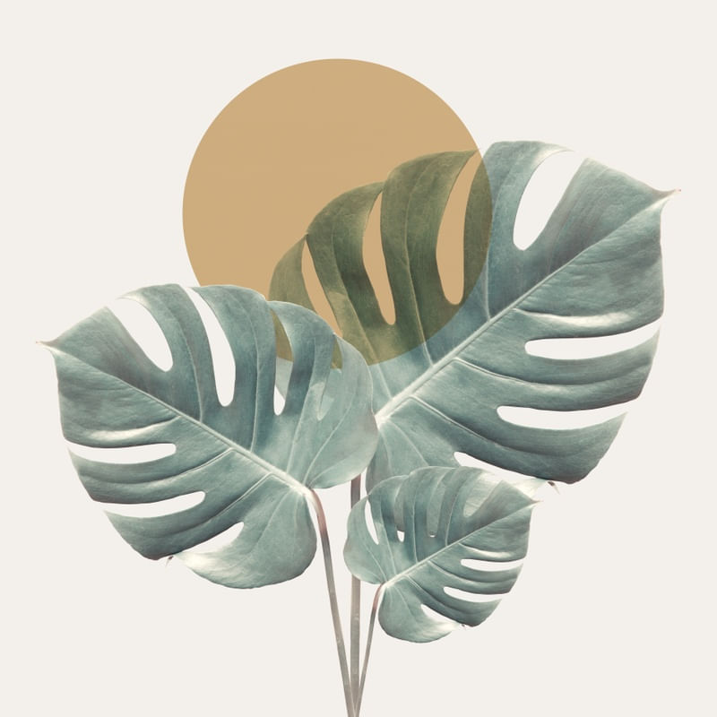 MINIMAL FLORAL 65