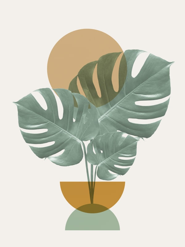 MINIMAL FLORAL 67