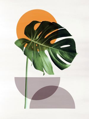 MINIMAL FLORAL 72