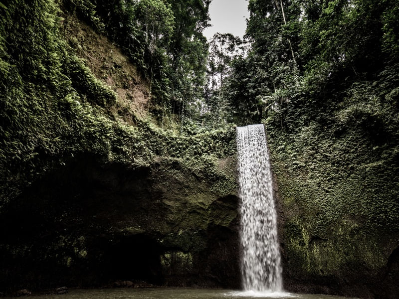 BEAUTIFUL BALI