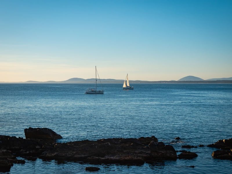 VELEIROS EM PUNTA BALLENA - URUGUAIA