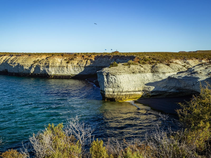PENHASCOS DE PUERTO MADRYN