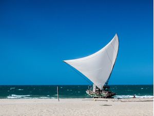 CANOA1