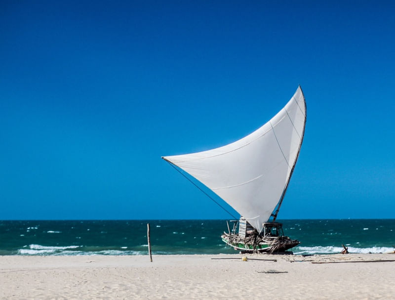 CANOA1