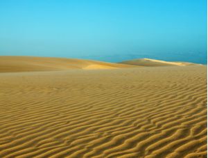 AREIA1