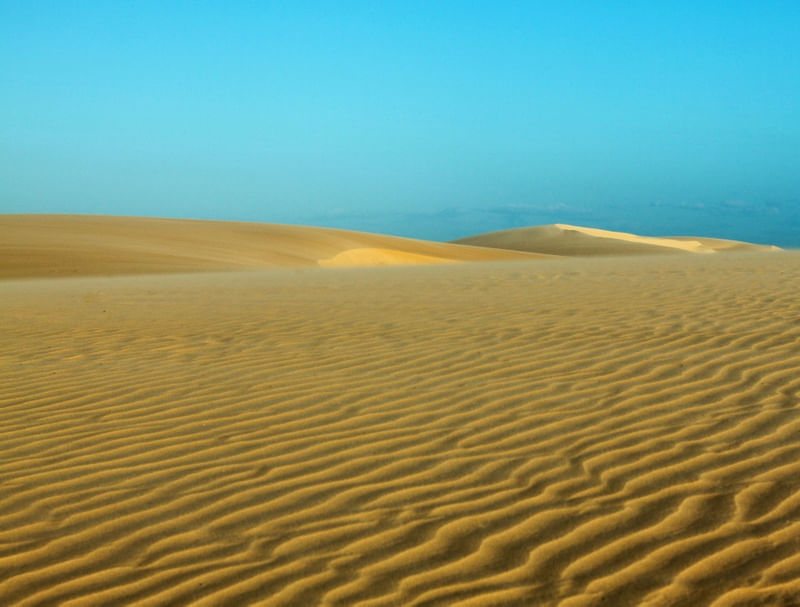 AREIA1