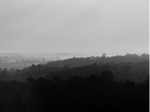 VISTA COM NEBLINA