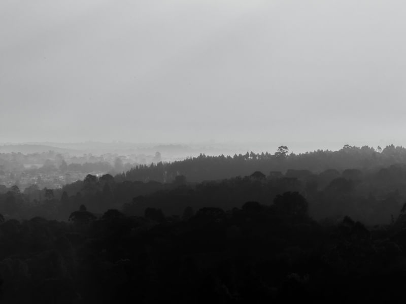 VISTA COM NEBLINA