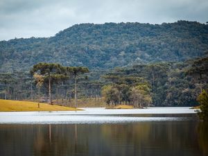 REPRESA DE PINHAL