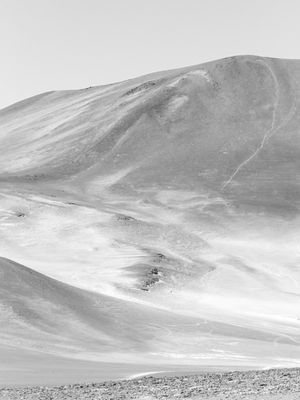 DESERT MONOCHROMATE 14