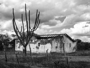 CASA NORDESTE PB