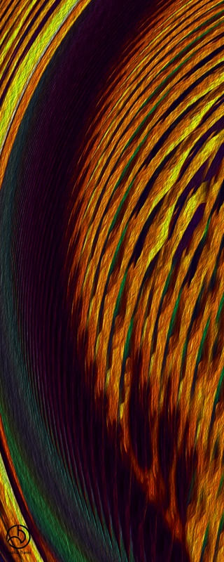 LISTES ORANGES