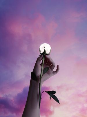 FLOR DE LUA