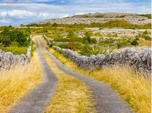 TRILHA NOS MUROS DE PEDRA DO BURREN - IRLANDA