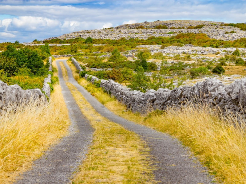 TRILHA NOS MUROS DE PEDRA DO BURREN - IRLANDA