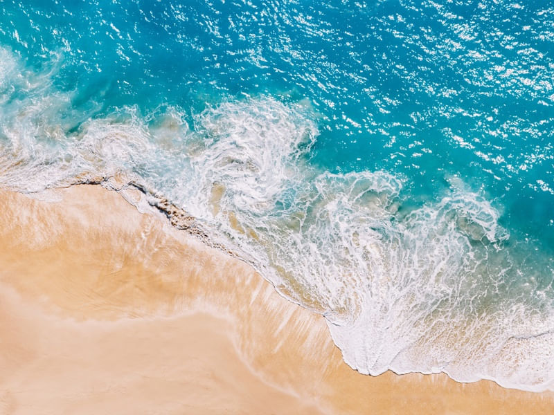 SUNNY BEACH