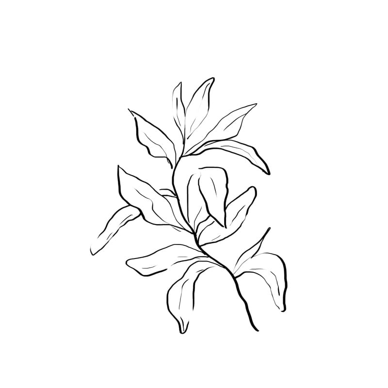 PLANTA 01