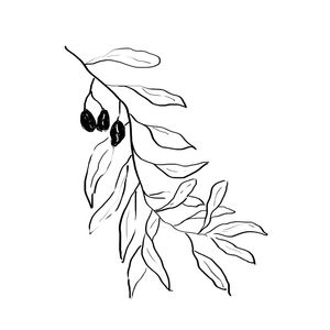 PLANTA 02