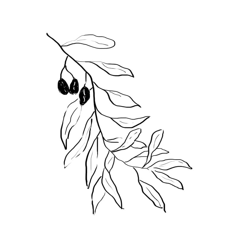 PLANTA 02