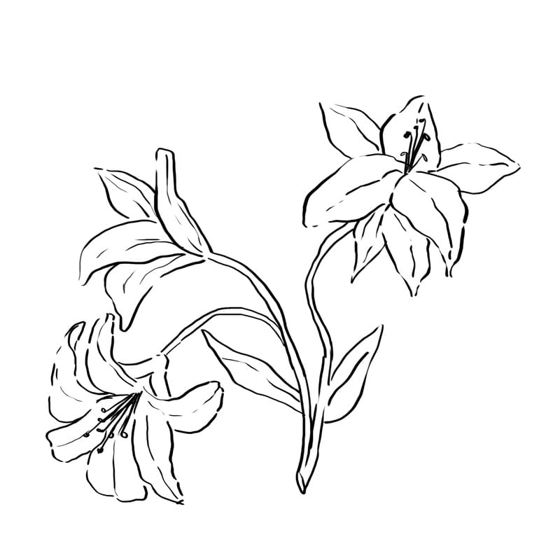 PLANTA 03