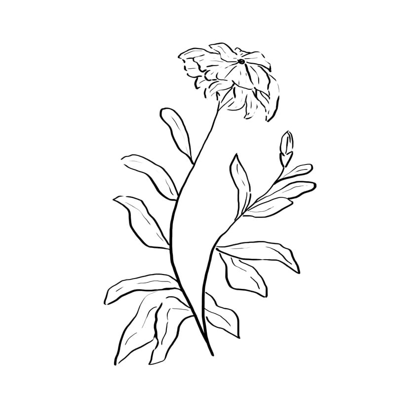 PLANTA 04