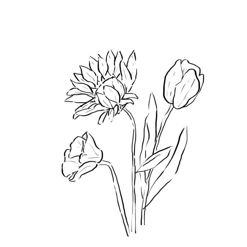 PLANTA 05
