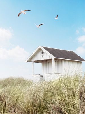 BEACH HUT