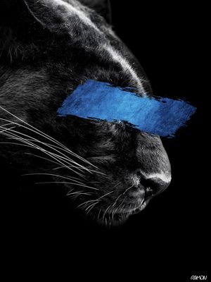 BLUE PUMA