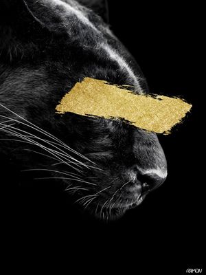 GOLDEN PUMA