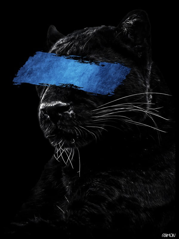 BLUE PUMA 02