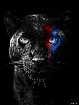 LIGHTNING BLACK PANTER