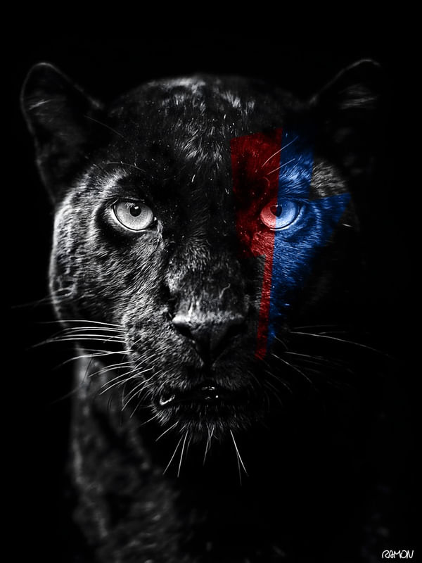 LIGHTNING BLACK PANTER