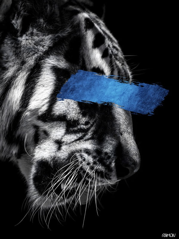 BLUE TIGER 01
