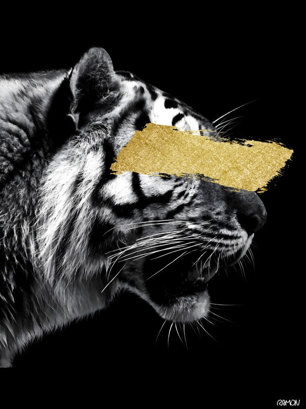 GOLDEN TIGER 02