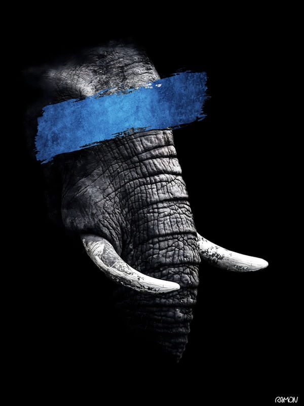 BLUE ELEPHANT 02