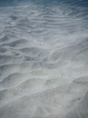 OCEANUS