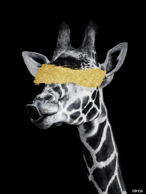 GOLDEN GIRAPH